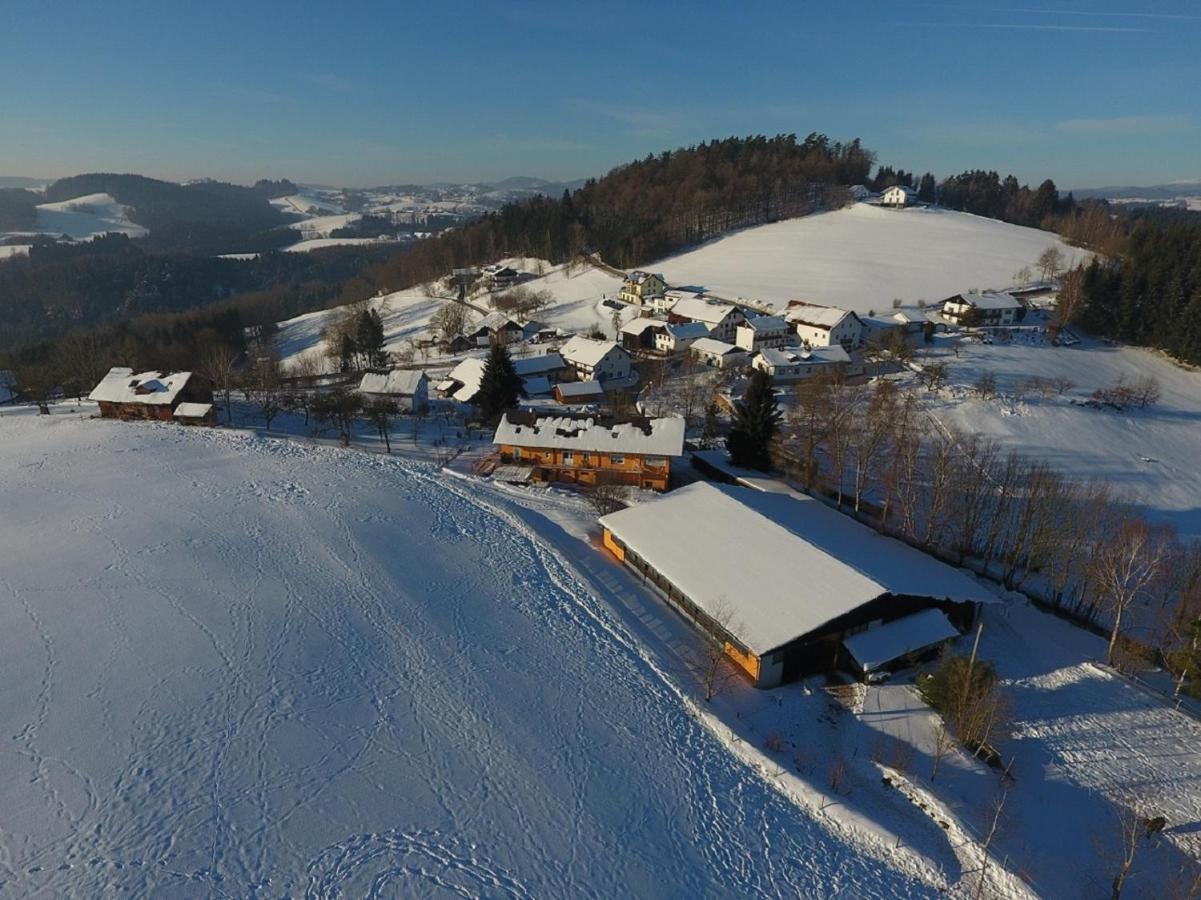 Naturfreundepension Hagenberger Fuer Erwachsene Witzmannsberg Extérieur photo