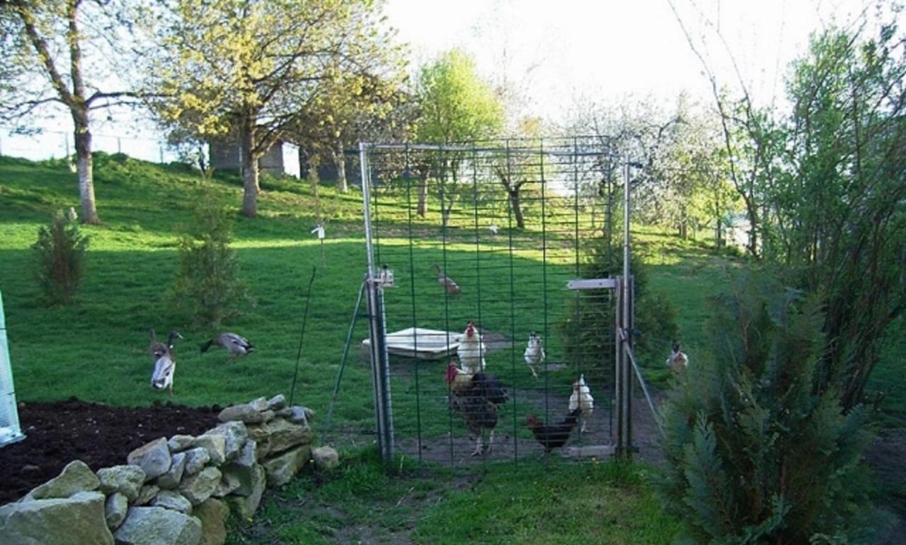 Naturfreundepension Hagenberger Fuer Erwachsene Witzmannsberg Extérieur photo