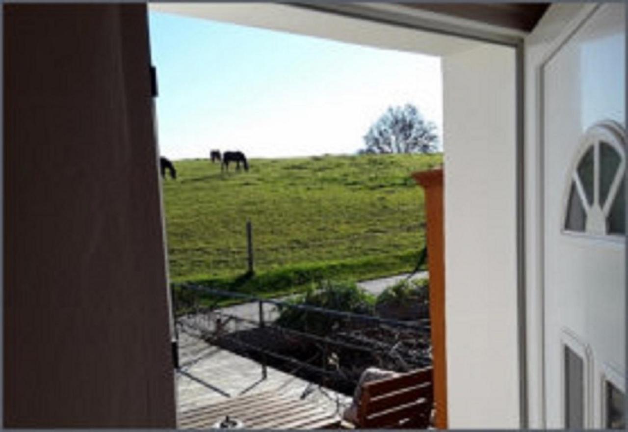 Naturfreundepension Hagenberger Fuer Erwachsene Witzmannsberg Extérieur photo
